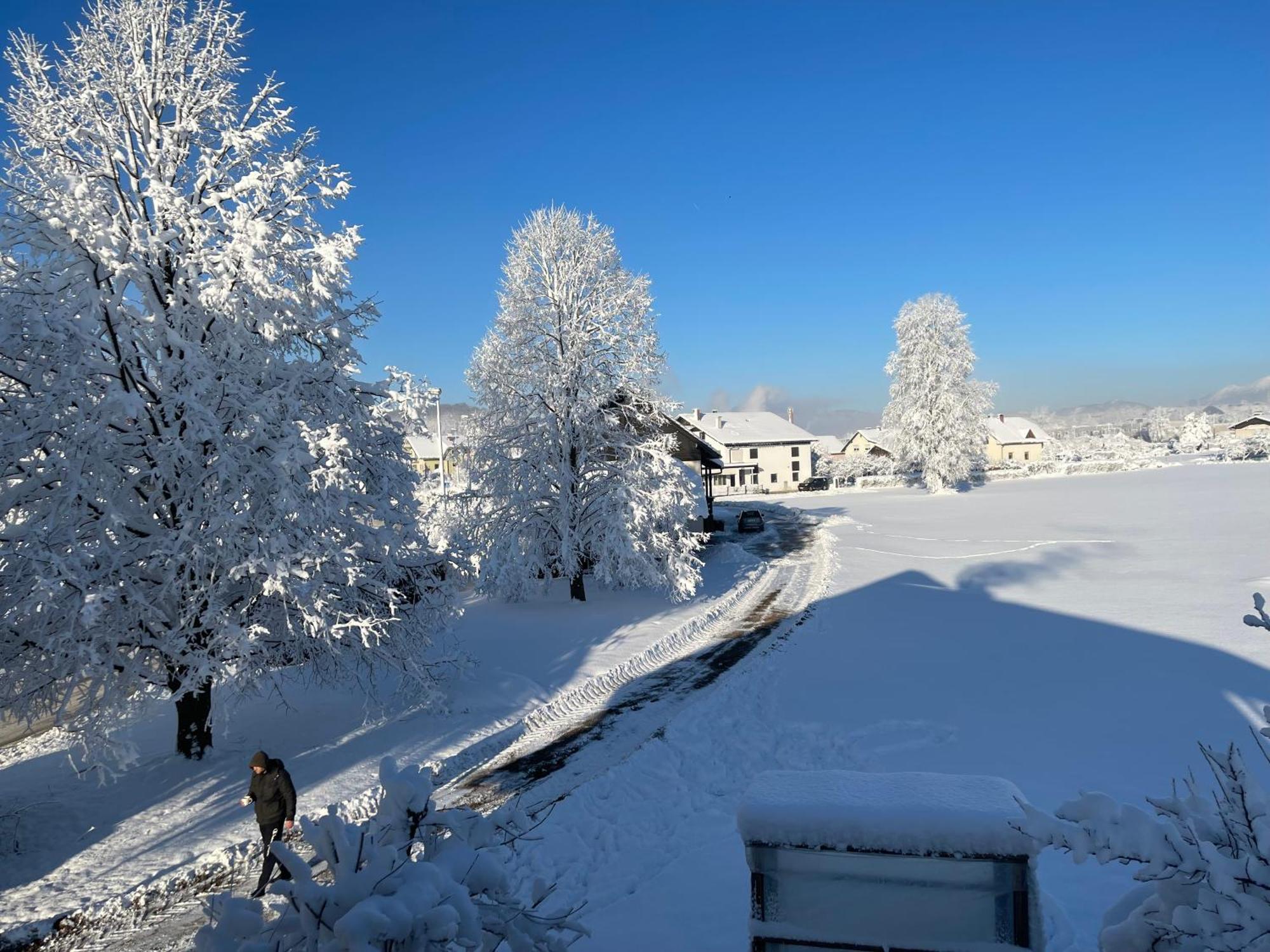 מדבודה Guesthouse Stremljan Ljubljana מראה חיצוני תמונה